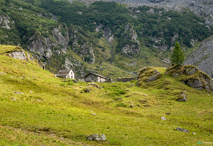 alpeggi-carcoforo